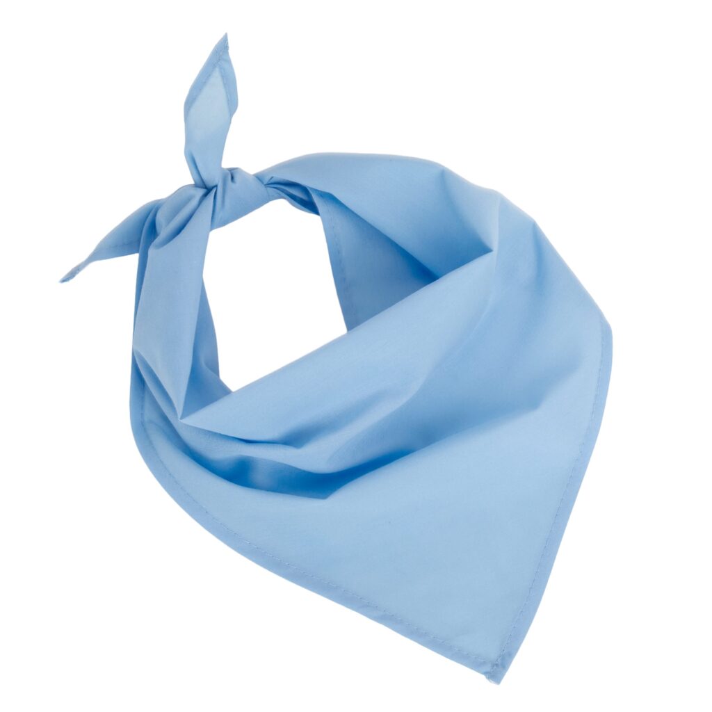 Fiesta - Bandana