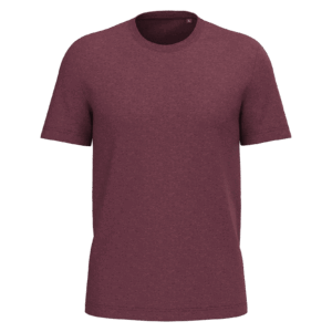 T-shirt Bio190 IC homme