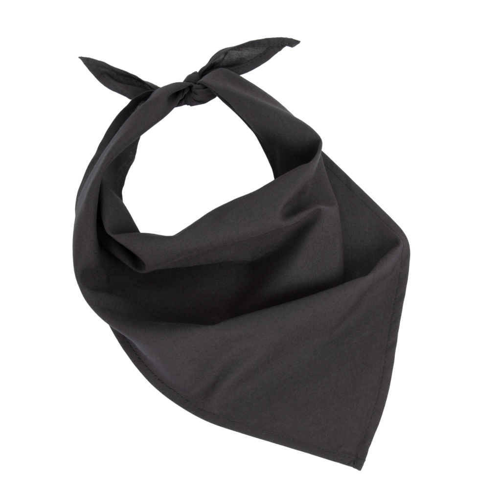 Fiesta - Bandana