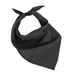 Fiesta - Bandana