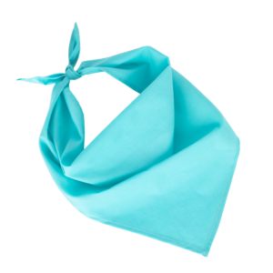 Fiesta - Bandana