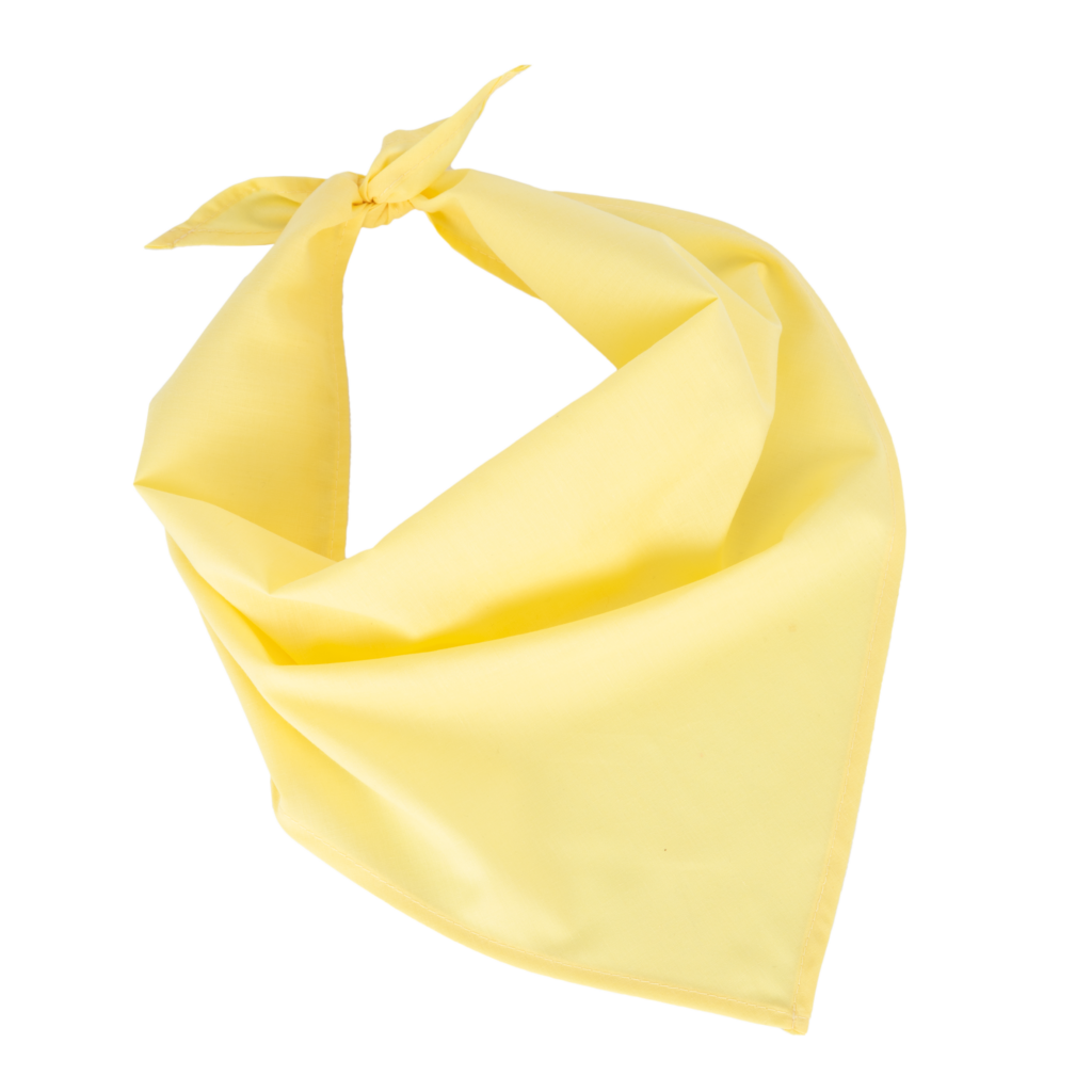 Fiesta - Bandana