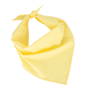 Fiesta - Bandana