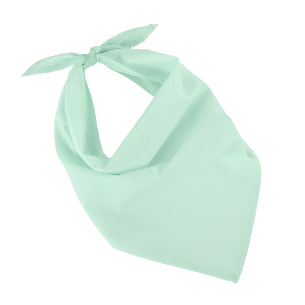 Fiesta - Bandana