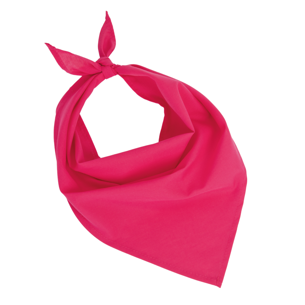 Fiesta - Bandana