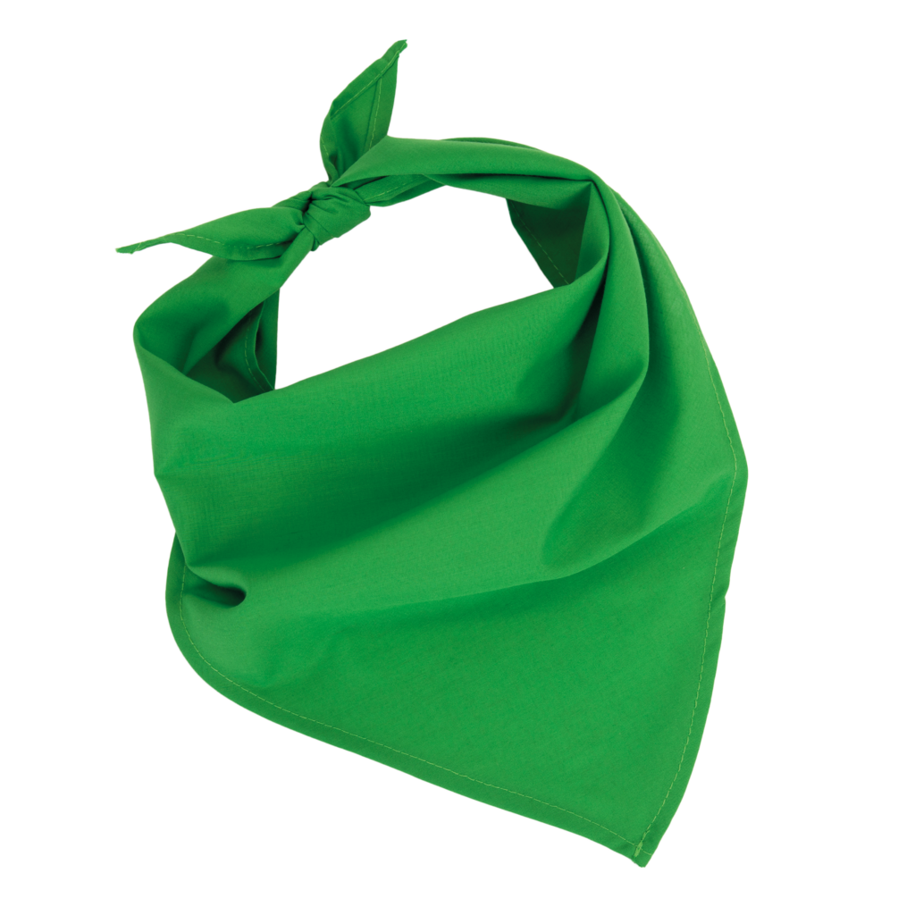 Fiesta - Bandana