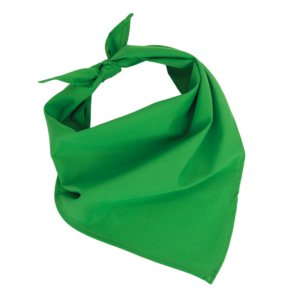 Fiesta - Bandana