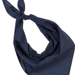 Fiesta - Bandana