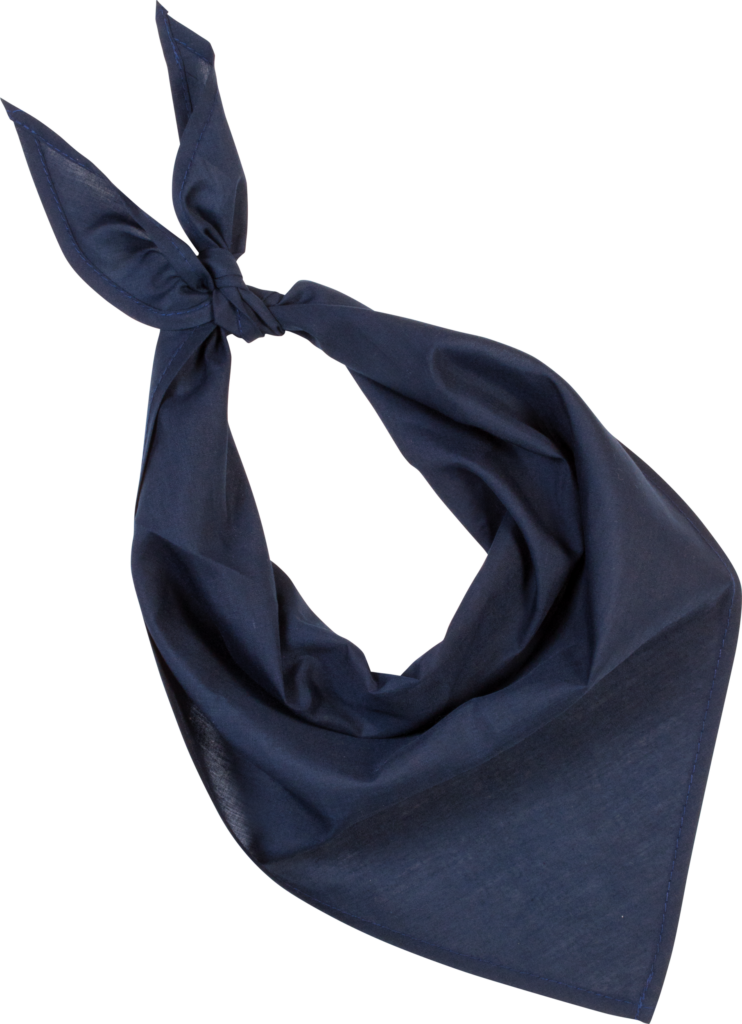 Fiesta - Bandana