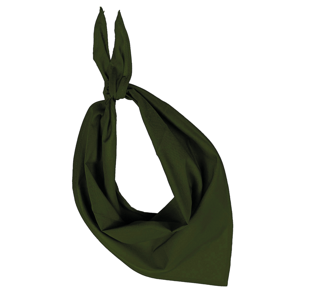 Fiesta - Bandana