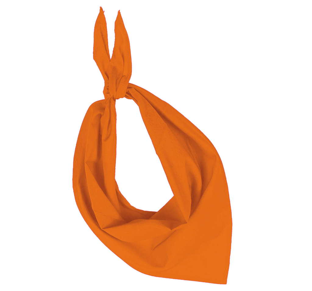 Fiesta - Bandana