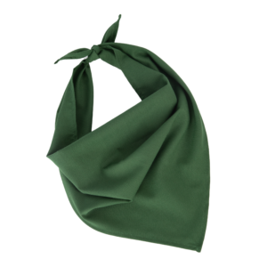 Fiesta - Bandana