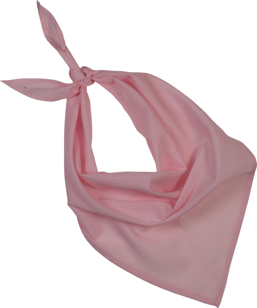 Fiesta - Bandana