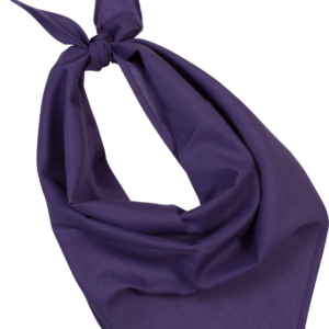 Fiesta - Bandana