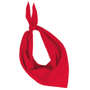 Fiesta - Bandana