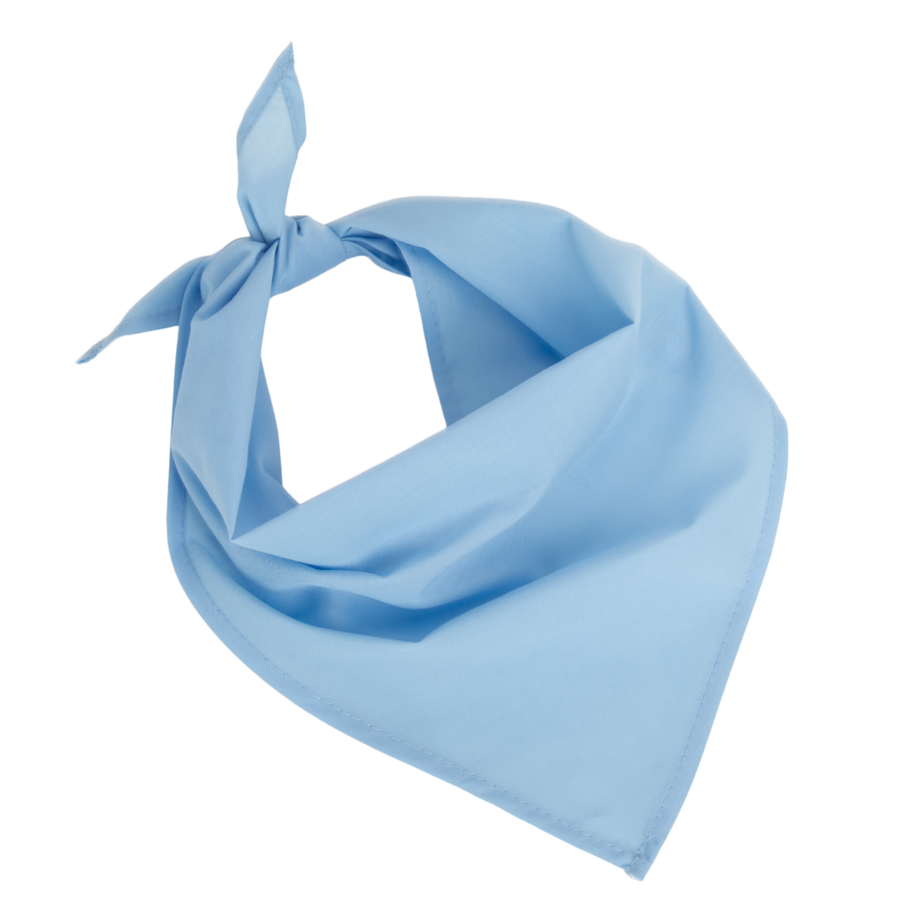 Fiesta - Bandana