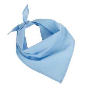 Fiesta - Bandana