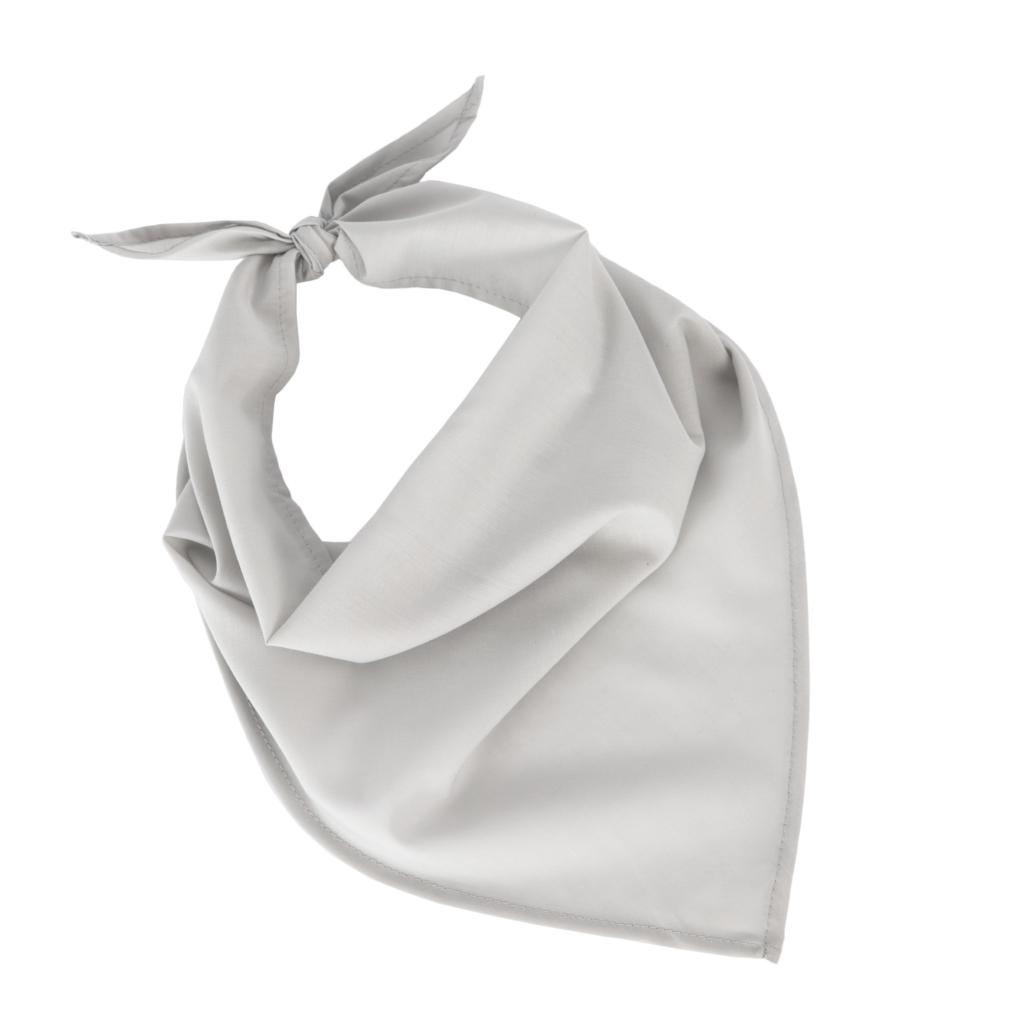 Fiesta - Bandana