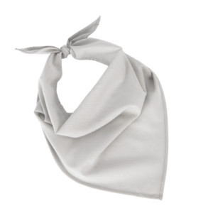 Fiesta - Bandana