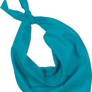 Fiesta - Bandana