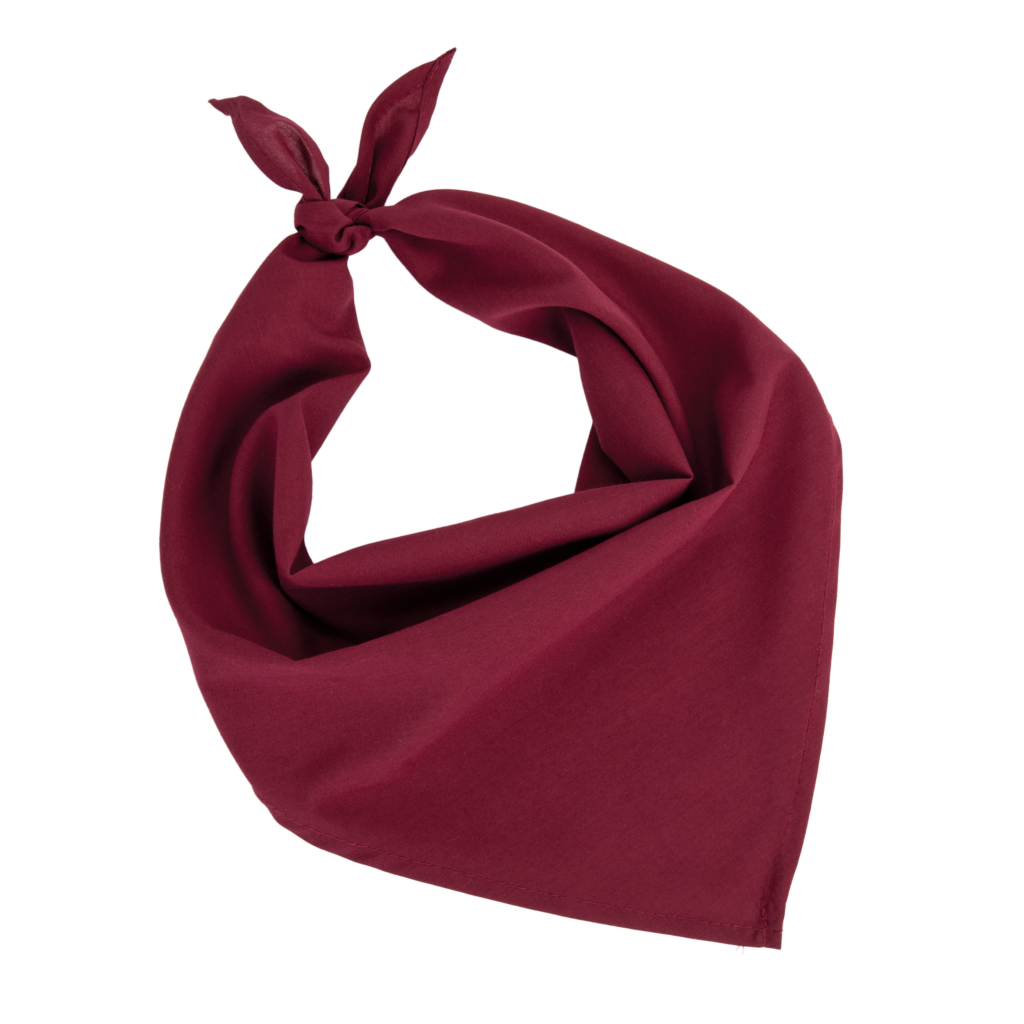 Fiesta - Bandana