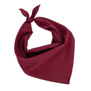 Fiesta - Bandana
