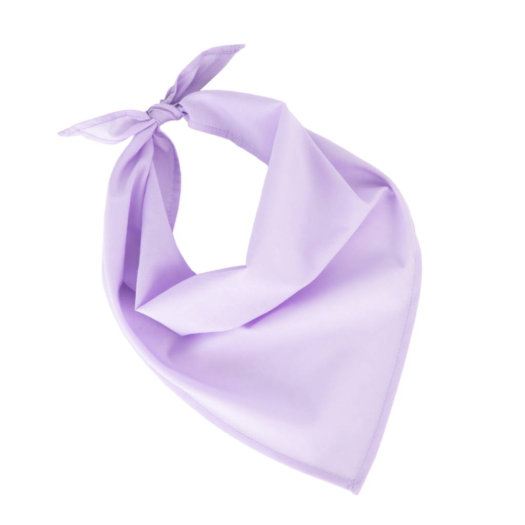 Fiesta - Bandana