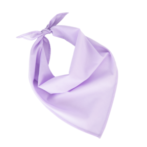 Fiesta - Bandana
